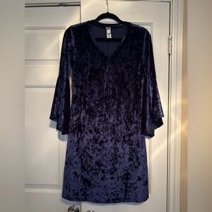 Honeyme Navy Crushed Velvet Dress